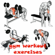 Gym Workout Exercises icon