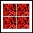 Icon of program: 1000 Biology Terms and Qu…