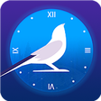 Icono de programa: Cuckoo Clock