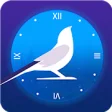 Icon of program: Cuckoo Clock