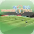 Icon of program: World Hummer Football 201…