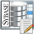 Icono de programa: Sybase ASE Editor Softwar…