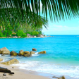 Icono de programa: Relaxing Beaches