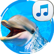 Icono de programa: Dolphin Sounds