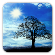 Icon of program: Blue Sky Free Live Wallpa…