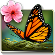 Icon of program: Spring Zen Free