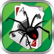 Icon of program: Spider Solitaire