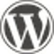 Icono de programa: WordPress Widget