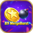 Icon of program: B9MergeBurst