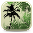 Icono de programa: Palm ID Key
