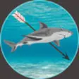 Icon of program: Shark Harcher