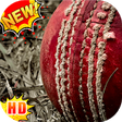 Icono de programa: Cricket Wallpapers