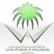 Icon of program: Saudi Gong
