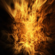 Icon of program: Test Application- Daily S…
