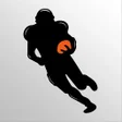 Icon of program: Fantasy Football ADP Slee…