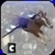 Icon of program: Flying Goat City Sim