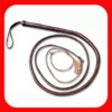 Icon of program: The Whip Sound App