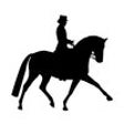 Icon of program: Dressage freestyle