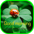 Icono de programa: Good Morning images Wishe…