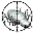 Icon of program: Learn Computer Security