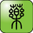 Icon of program: Chinese Herbs Medicine Qu…