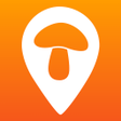 Icono de programa: Pickfungi - Mushroom Maps