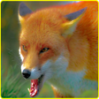 Icono de programa: Angry Wild Fox Attack Sim…