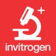 Icon of program: Cell Imaging HD