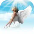 Icon of program: Angel Wings Heaven Photo …
