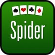 Icon of program: Spider Solitaire Classic
