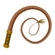 Icon of program: The Whip Sound App Origin…