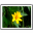 Icono de programa: Applied Vision