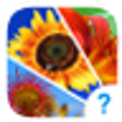 Icono de programa: 4 clues: word search game