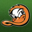 Icon of program: Long Island Ducks