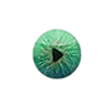 Icono de programa: Kinovea