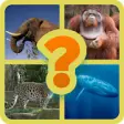 Icon of program: Endangered Species Guess …