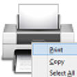 Icon of program: RC Print