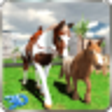 Icono de programa: Wild Pony Horse Simulator…
