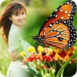 Icon of program: Butterfly Frame Collage