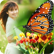 Icon of program: Butterfly Frame Collage