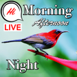 Icono de programa: Good Morning Afternoon & …