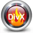 Icon of program: 4Videosoft DivX to DVD Co…