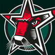 Icon of program: Starbulls Rosenheim