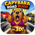 Icono de programa: Capybara Road Rush
