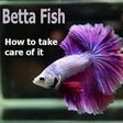 Icono de programa: Betta Fish