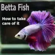 Icon of program: Betta Fish