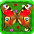 Icon of program: Butterfly!