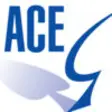 Icon of program: ACE TAG