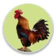 Icono de programa: Modern Igbo Calendar