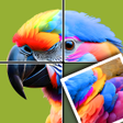 Icon of program: Jigpuzzle AMSR